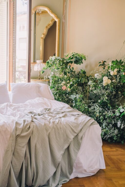 How to Refresh Your Home with Plants: Easy Tips for a Greener Space